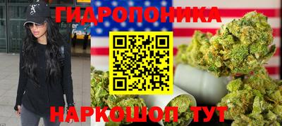 шишки Обнинск