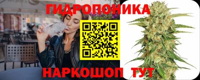 шишки Обнинск