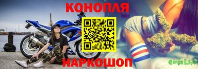 шишки Обнинск